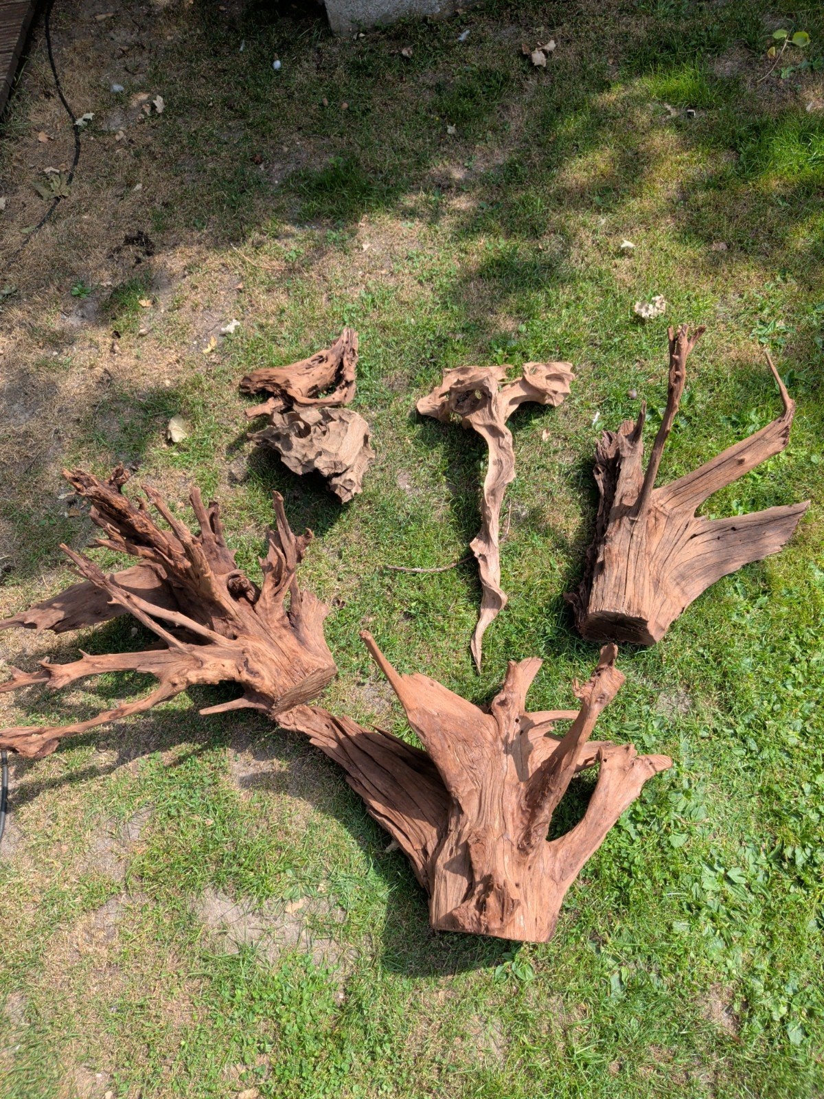 aquarium hout, Ophalen, Plant(en), Steen of Hout