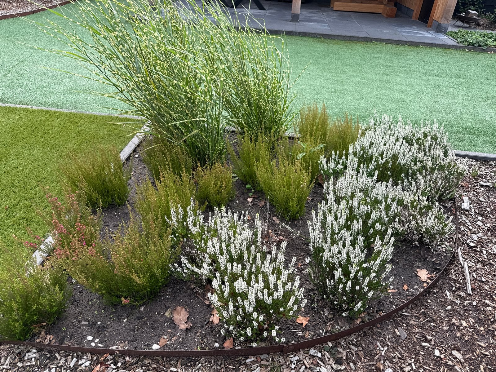 Prachtig Plantenperk met diverse heide en siergras, Tuin en Terras, Ophalen, Vaste plant, Siergrassen, Halfschaduw