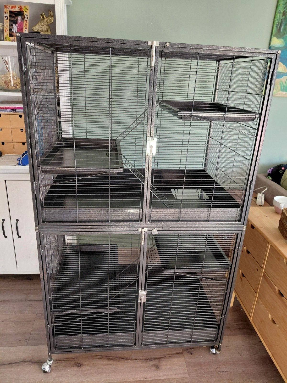 Keddoc ratten kooi, Ophalen, Minder dan 75 cm, Zo goed als nieuw, 90 cm of meer
