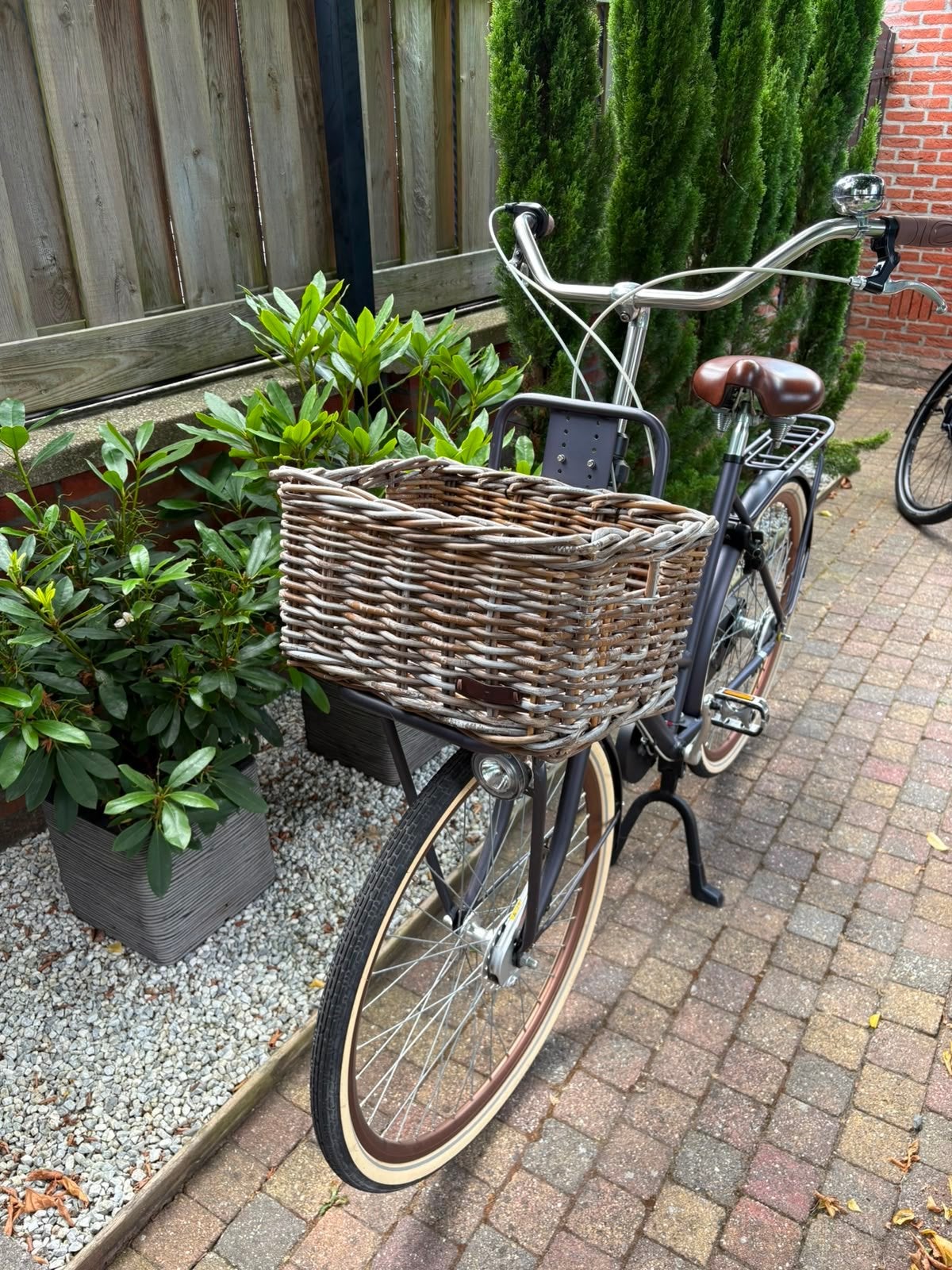 Popal Daily Dutch Basic Damesfiets met mand, Velgrem, 50 tot 53 cm, Ophalen, Overige merken