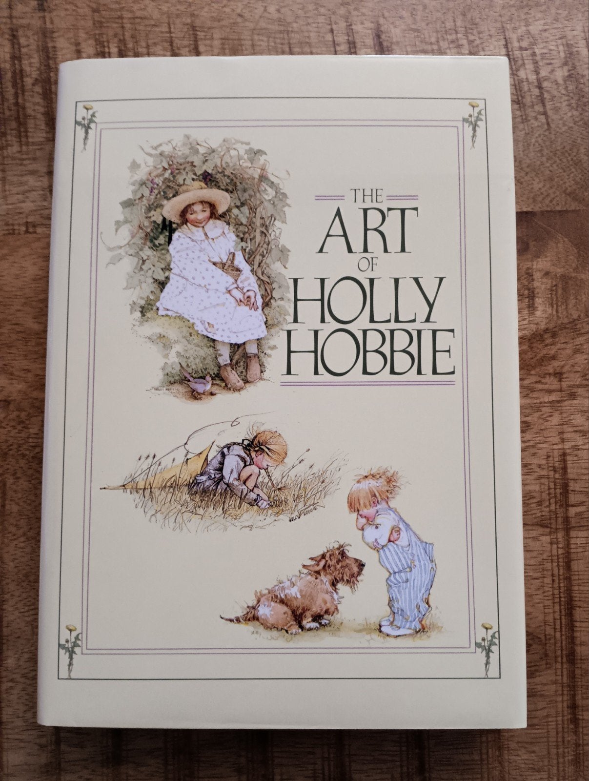 Boek  The Art of Holly Hobbie, Ophalen of Verzenden, Gelezen, Schilder- en Tekenkunst