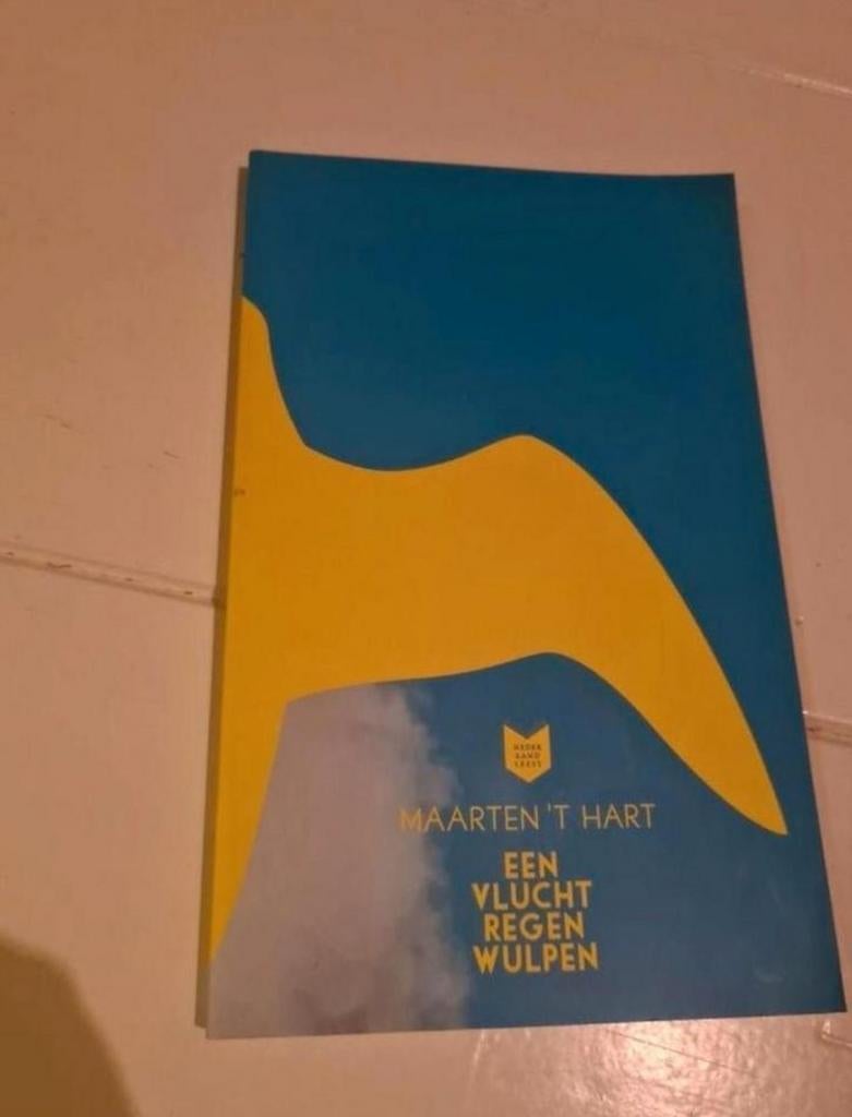 Een vlucht regen wulpen - Maarten 't Hart, Ophalen of Verzenden, Zo goed als nieuw, Maarten 't Hart, Nederland