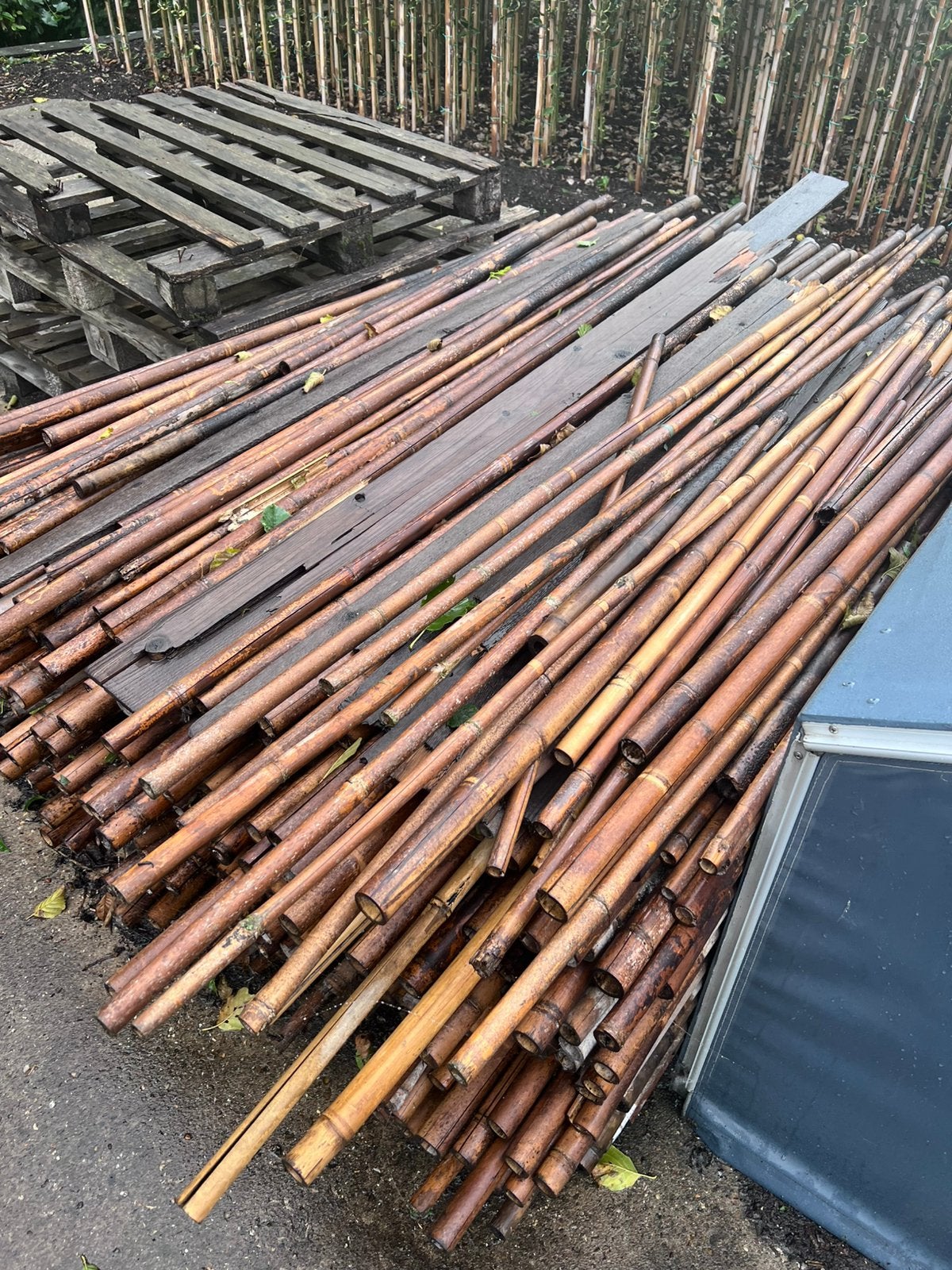 Tonkin stokken, Ophalen, Gebruikt, Minder dan 180 cm, Palen