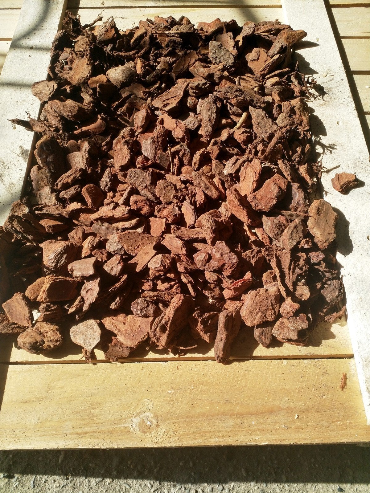 Franse boomschors, XL "zak de goedkoopste", Ophalen