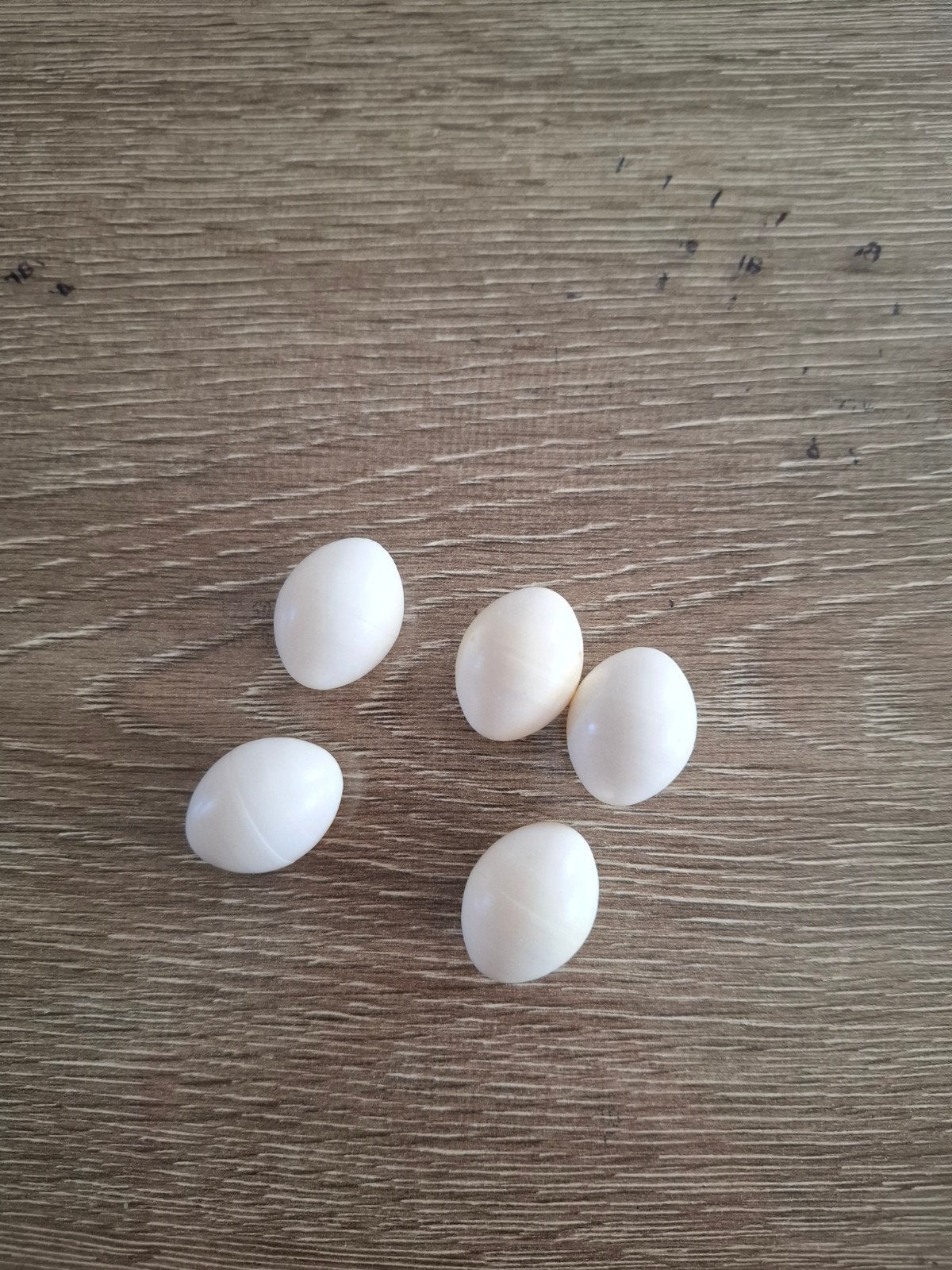 5 neppe agapornis broed eieren, Dieren en Toebehoren