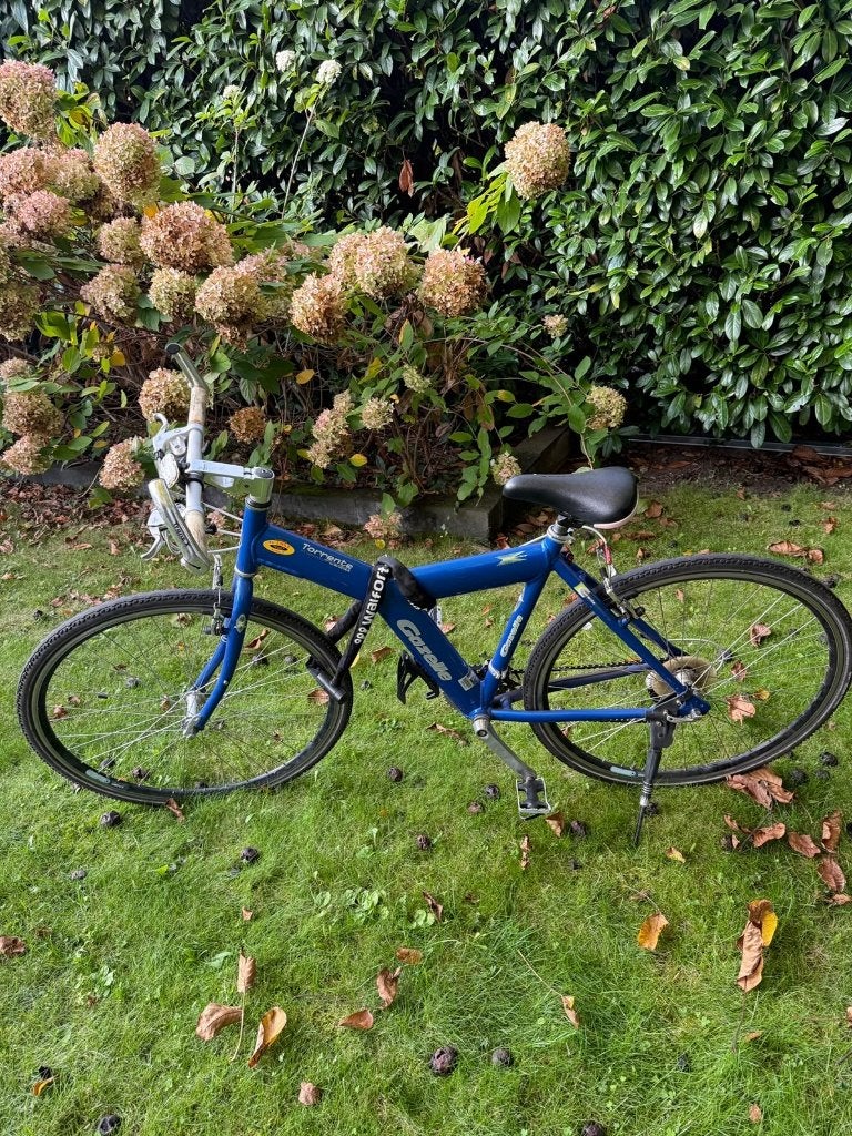 Gazelle Torrent Blue, Ophalen, 28 inch, Gebruikt, Velgrem