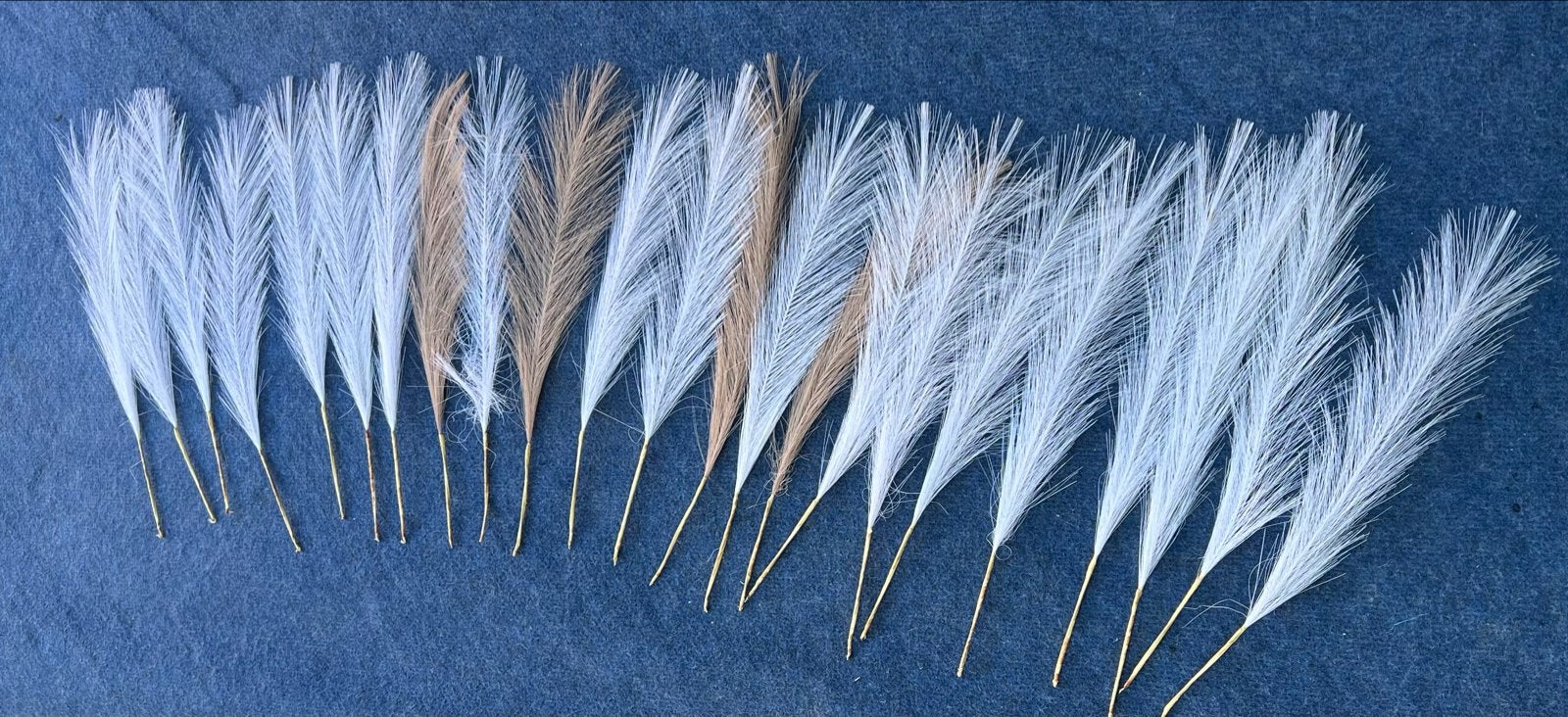 Decoratieve pluimen - Wit en bruin, Ophalen of Verzenden, Zo goed als nieuw