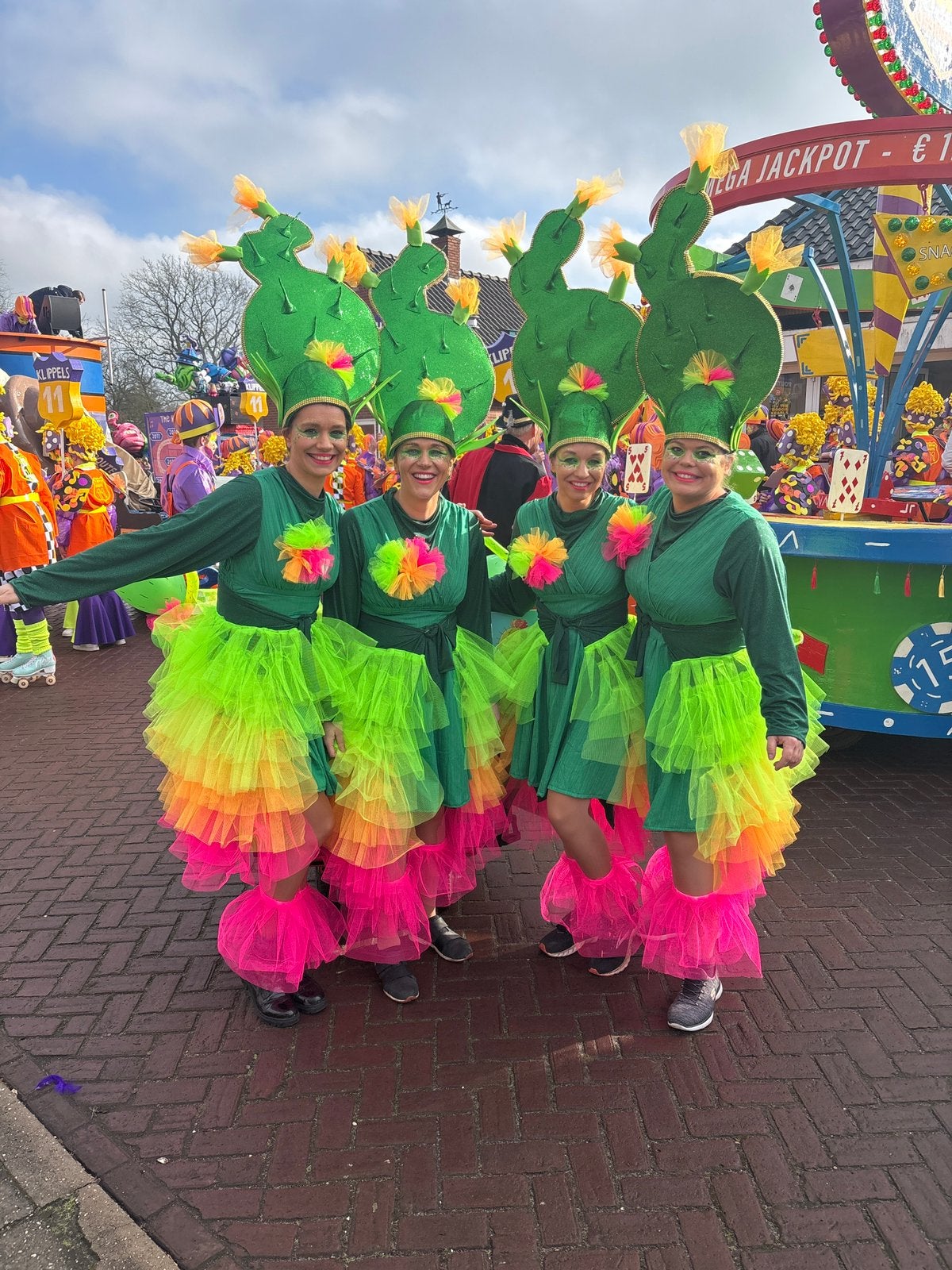 Cactus carnaval, Ophalen, Zo goed als nieuw, Maat 38/40 (M), Carnaval