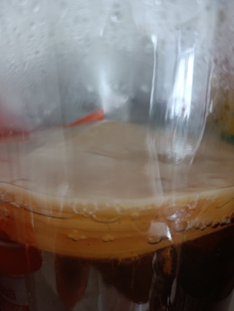 Kombucha Scoby, moeder kombucha, Ophalen of Verzenden