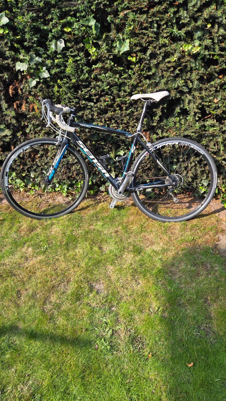 Sensa Emilia, Carbon voorvork, Shimano Tiagra, 3x10 48cm, Fietsen en Brommers, Fietsen | Racefietsen, Gebruikt, Velgrem, Aluminium