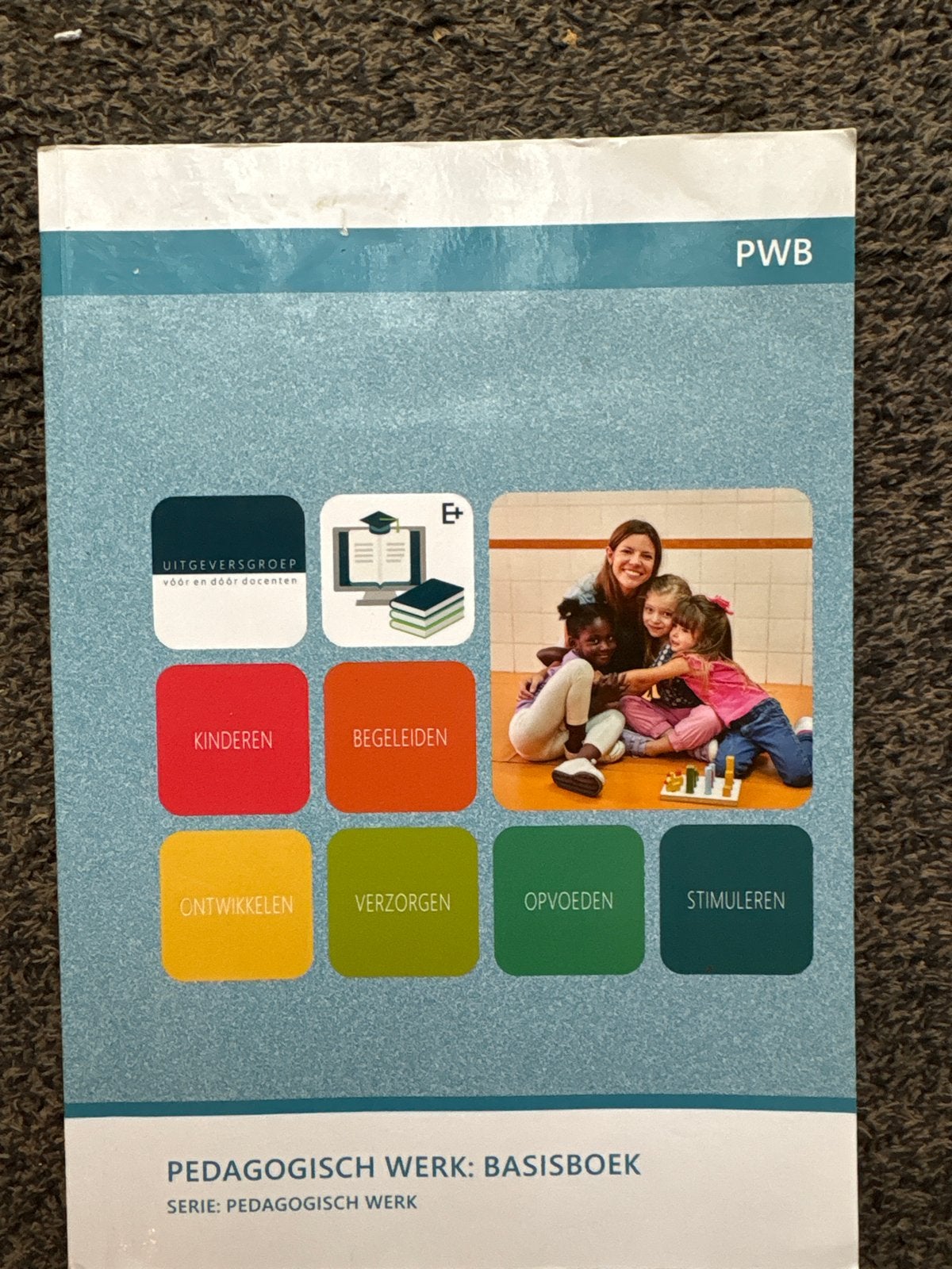 Pedagogisch Werk: Basisboek - PWB, Boeken, Ophalen of Verzenden, Gamma, Gelezen, MBO