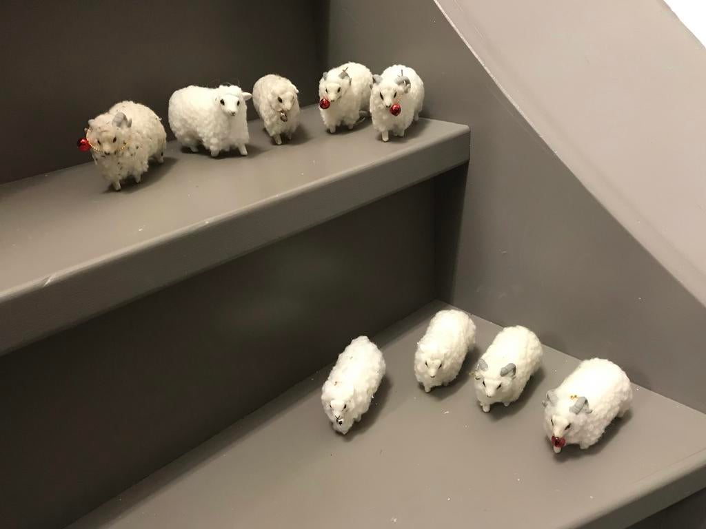 Schattige wollige schaapjes, Ophalen of Verzenden