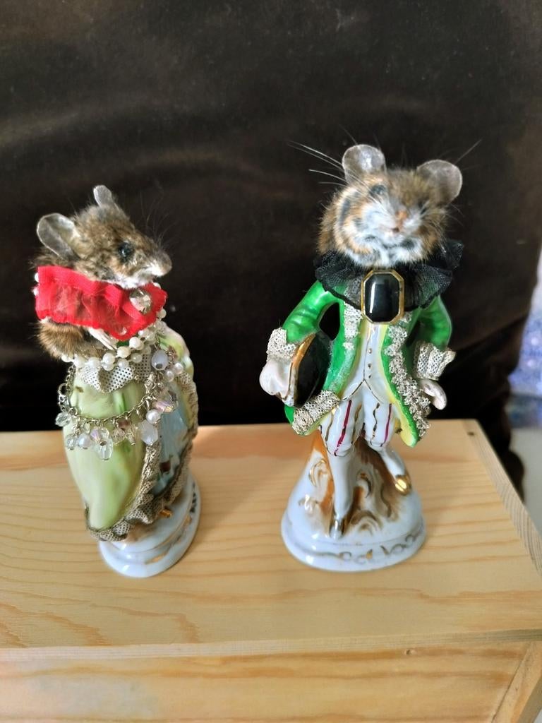 Taxidermie 2 opgezette muizen,muis in renaissance kleding, Verzamelen, Dierenverzamelingen, Ophalen of Verzenden, Nieuw, Overige soorten