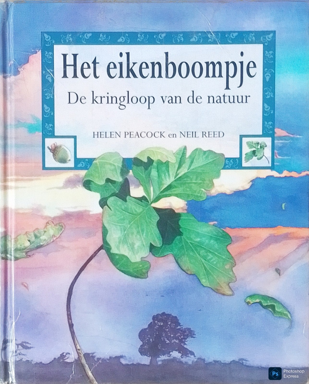 Het Eikenboompje De Kringloop Van De Natuur, Gelezen, Fictie algemeen, Helen Peacock En Neil Reed., Ophalen of Verzenden
