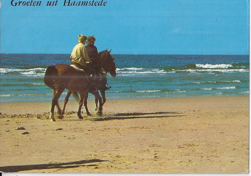 X258 Gelopen Ansichtkaart groeten uit haamstede, Verzenden, 1980 tot heden, Gelopen