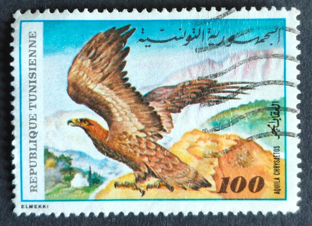 TUNESIË - steenarend 1980, Verzenden, Tunesië, Gestempeld