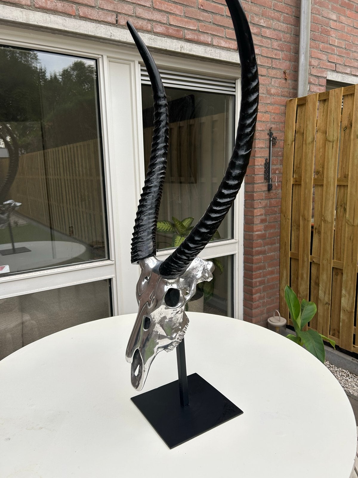 Decoratieve Gazelle Schedel met Hoorns op Standaard, Ophalen