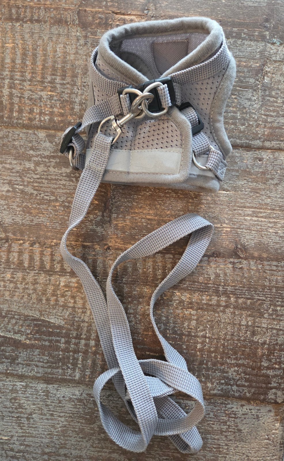 Kitten kattentuigje, Dieren en Toebehoren, Katten-accessoires, Ophalen of Verzenden, Zo goed als nieuw