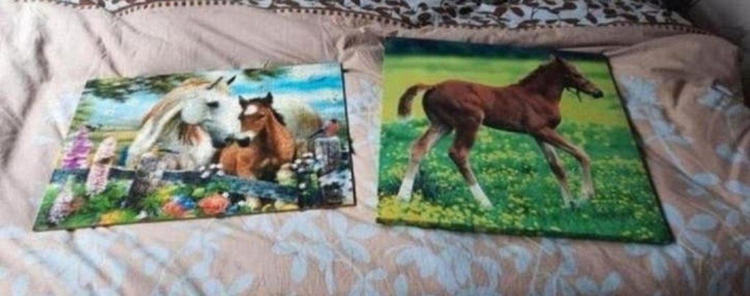 Wanddecoratie paard (canvas en 3d puzzel op plaat)
Canvas me, Kinderen en Baby's, Ophalen