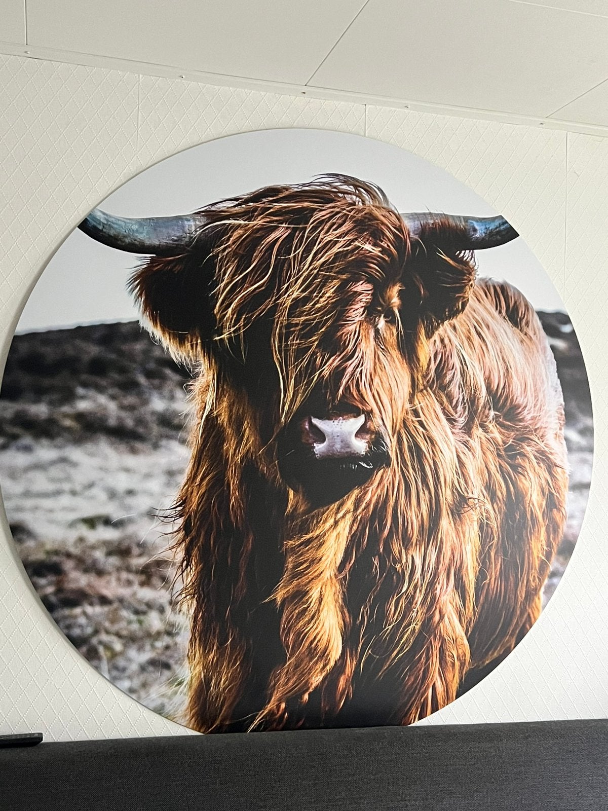 Muurcirkel PVC 1.40 m., Ophalen, Zo goed als nieuw, Minder dan 50 cm, Schilderij