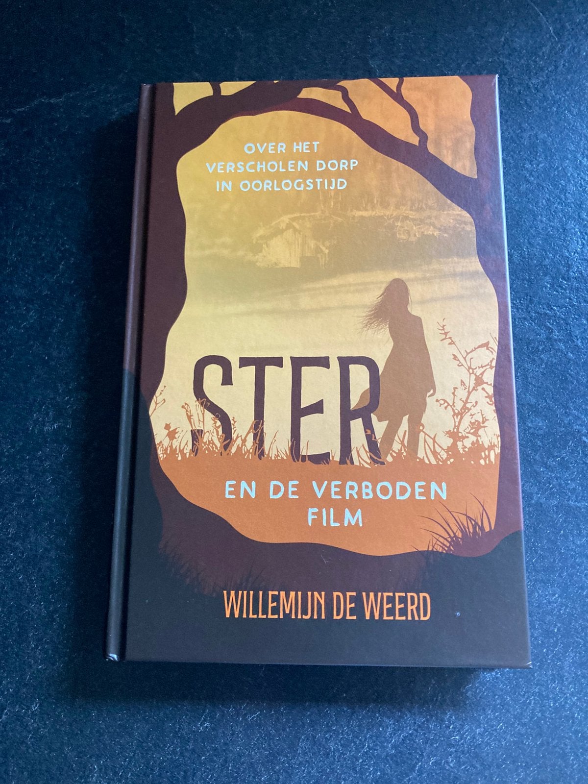 Willemijn de Weerd - Ster en de verboden film, Ophalen of Verzenden, Zo goed als nieuw, Willemijn de Weerd