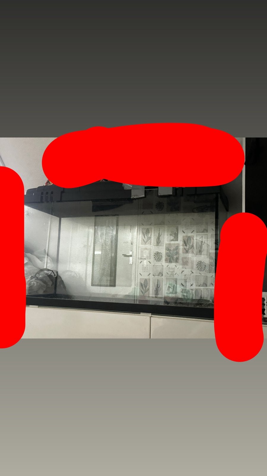100l aquarium, Dieren en Toebehoren, Ophalen, Zo goed als nieuw, Leeg aquarium