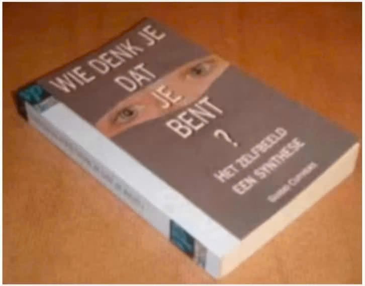 Wie denk je dat je bent ? (het zelfbeeld - een synthese), Boeken, Ophalen of Verzenden, Zo goed als nieuw