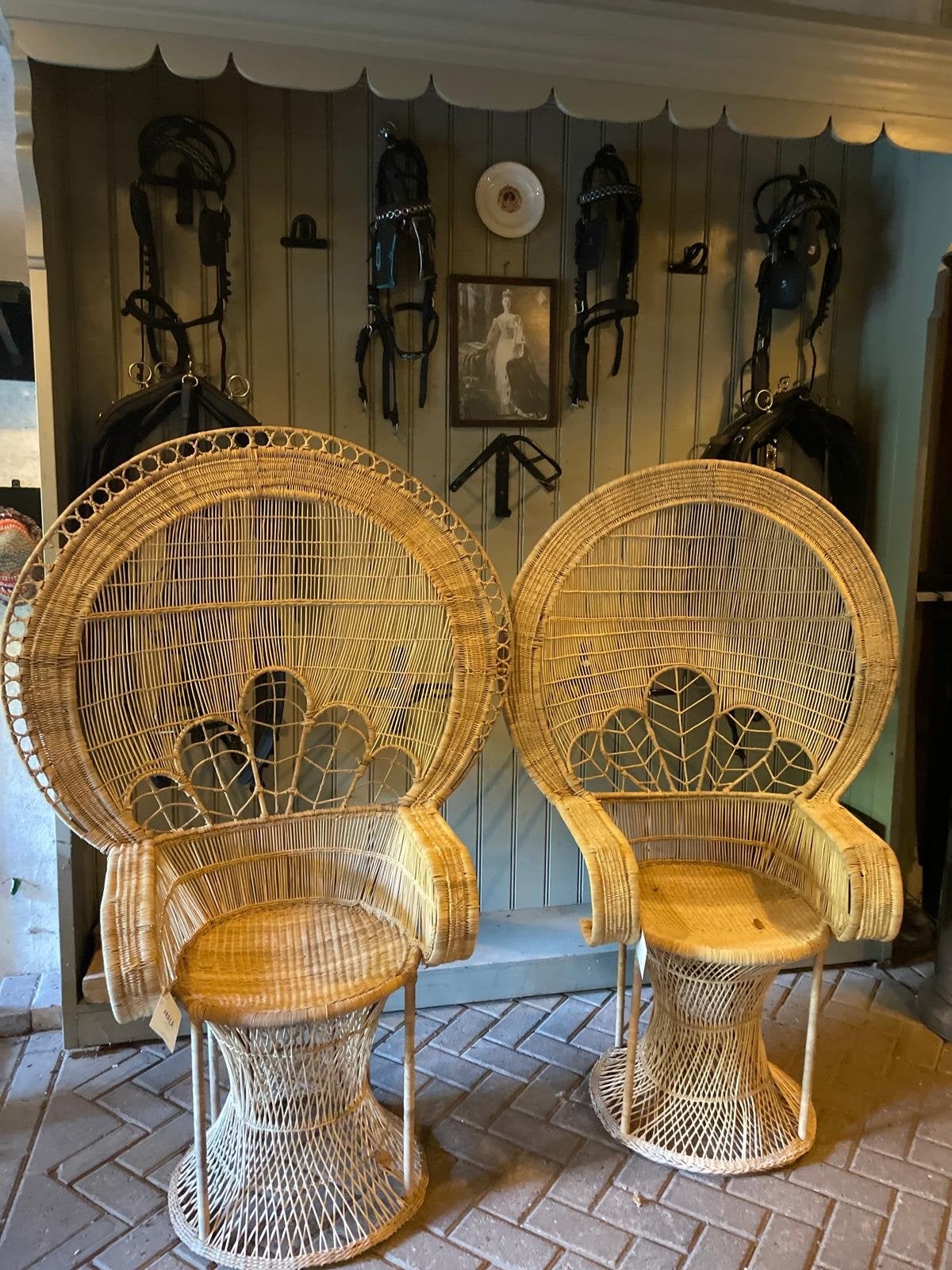 Set van 2 Rotan Pauwstoelen, Ophalen
