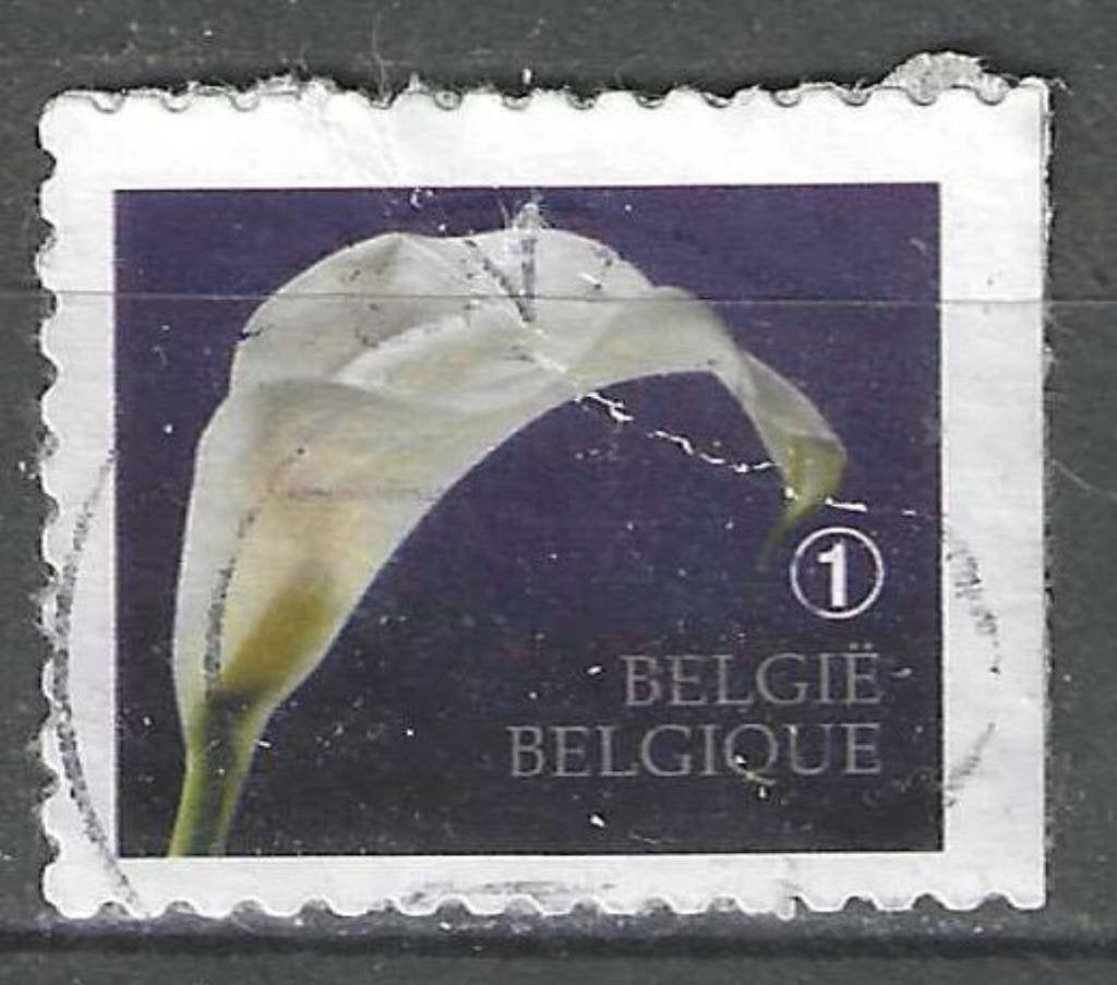Belgie 2014 - Yvert 4347 /OBP 4368 - Rouwzegel (ST), Verzenden, Gestempeld