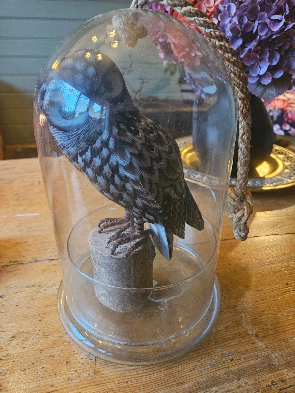 Decoratieve Uil in Glazen Stolp - Uniek Woonaccessoire, Ophalen