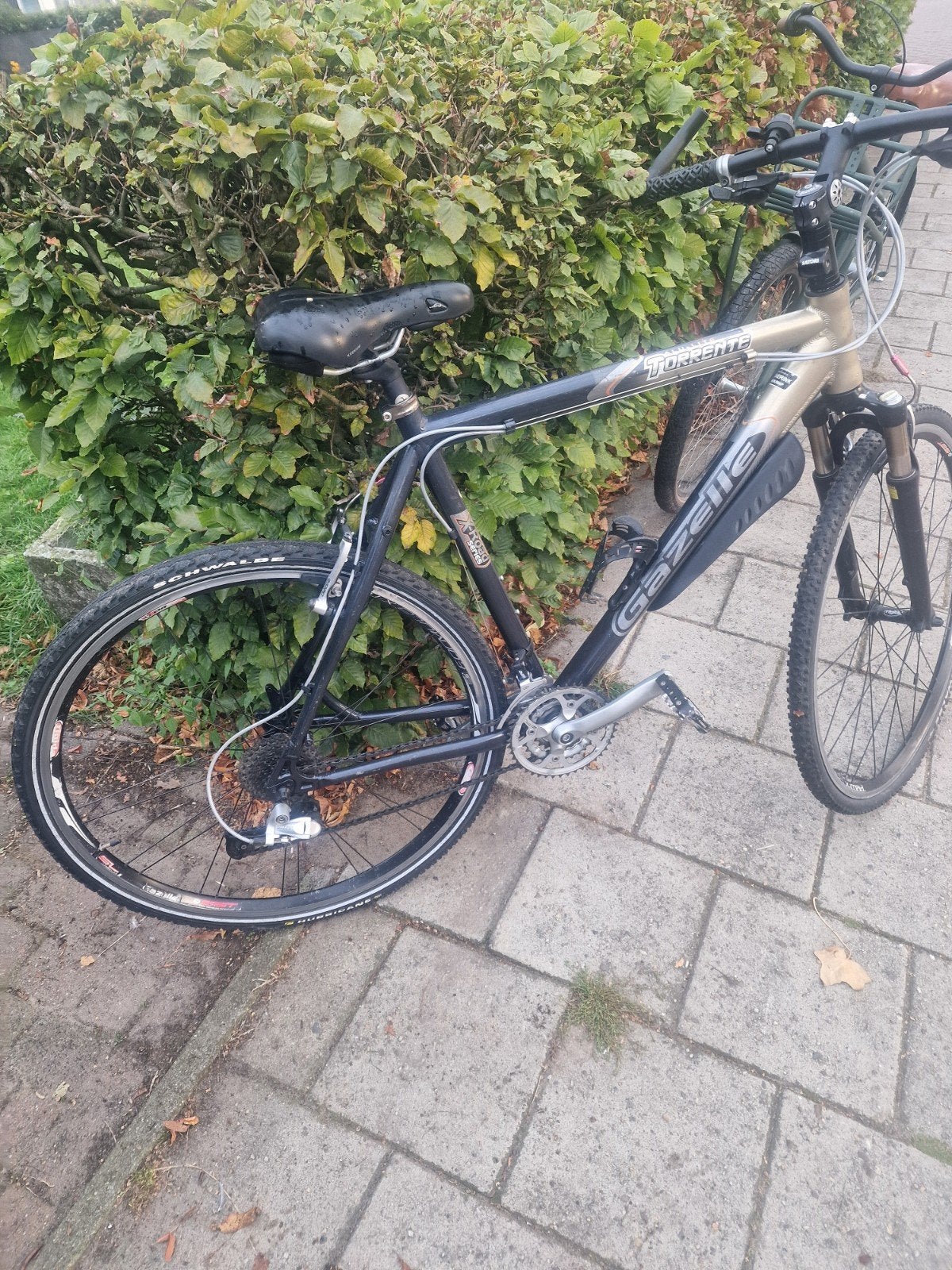 gazelle, Fietsen en Brommers, Ophalen, Gazelle
