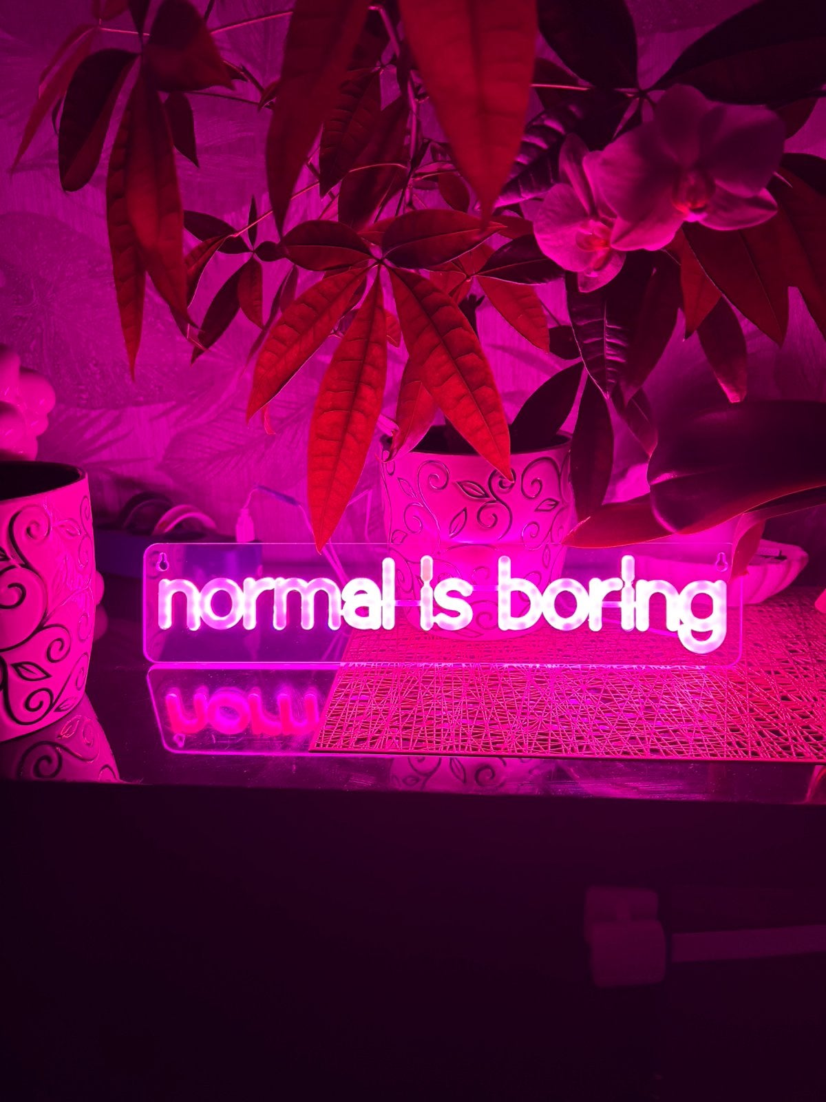 Wand lamp"normal is boring", Ophalen of Verzenden, Nieuw