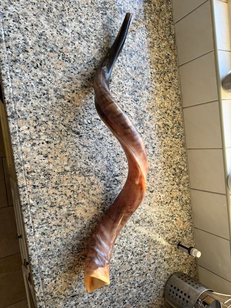 Sjofar, Ophalen, Zo goed als nieuw, Overige soorten, Met koffer of draagtas