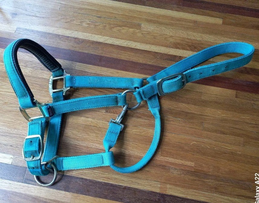 Paardenspullen, halster, beugels, bit, singel, Ophalen of Verzenden, Gebruikt, Bit, Pony