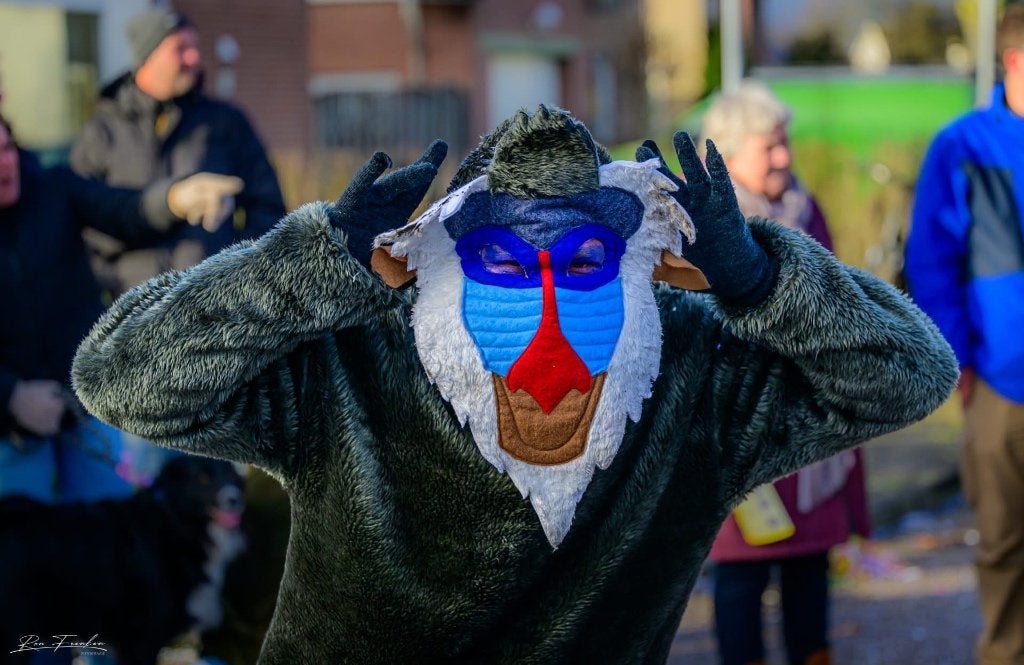 Apenpakken (kostuum jungle thema), Ophalen of Verzenden, Gedragen, Carnaval, Kleding