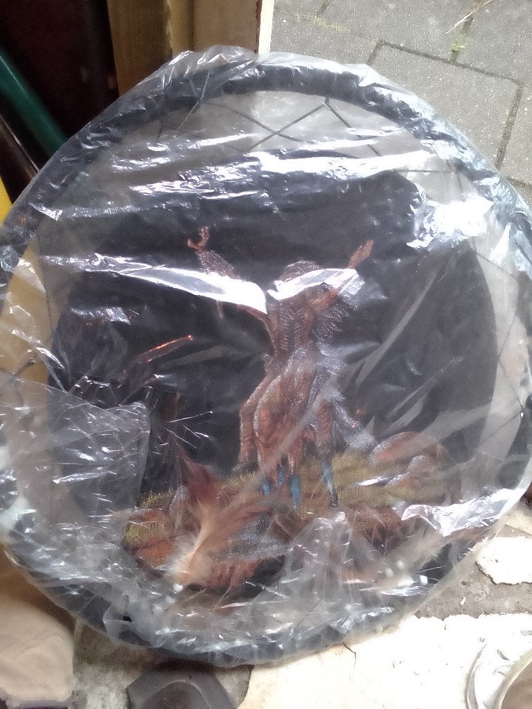 dreamcatcher, Ophalen of Verzenden, Nieuw