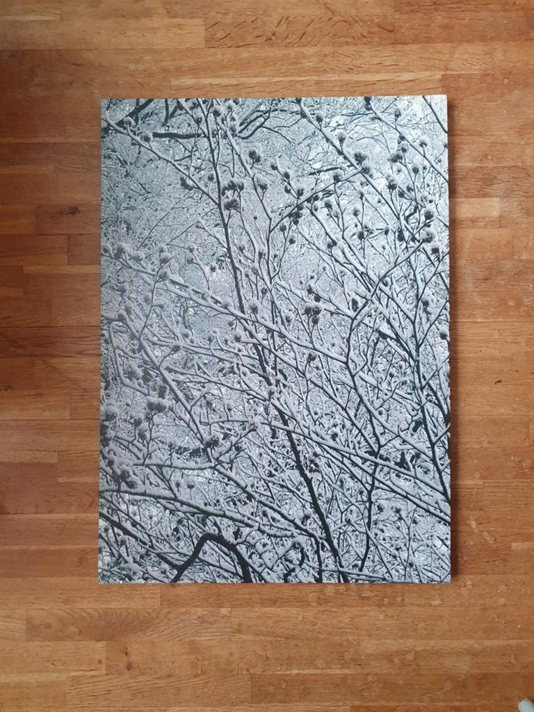 Canvas schilderij doek met natuur print ikea 50x70 cm, Ophalen of Verzenden, Zo goed als nieuw, Schilderij, 75 cm of meer