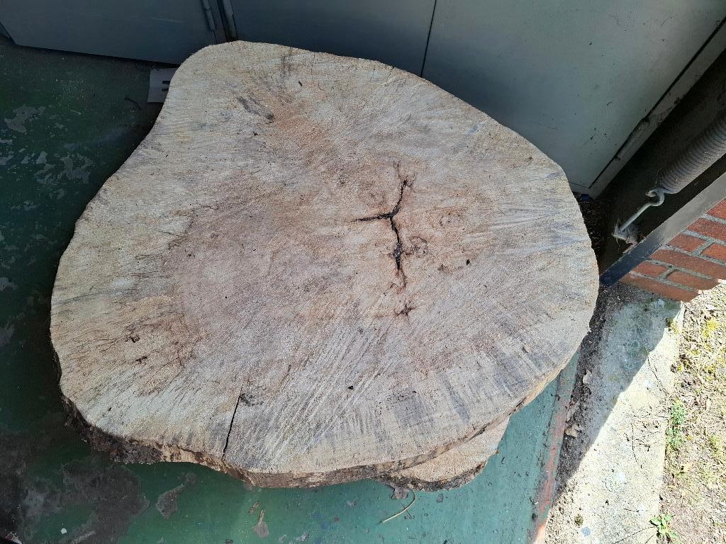 Boomstamschijf, Ophalen, Nieuw, 50 mm of meer, Pallet