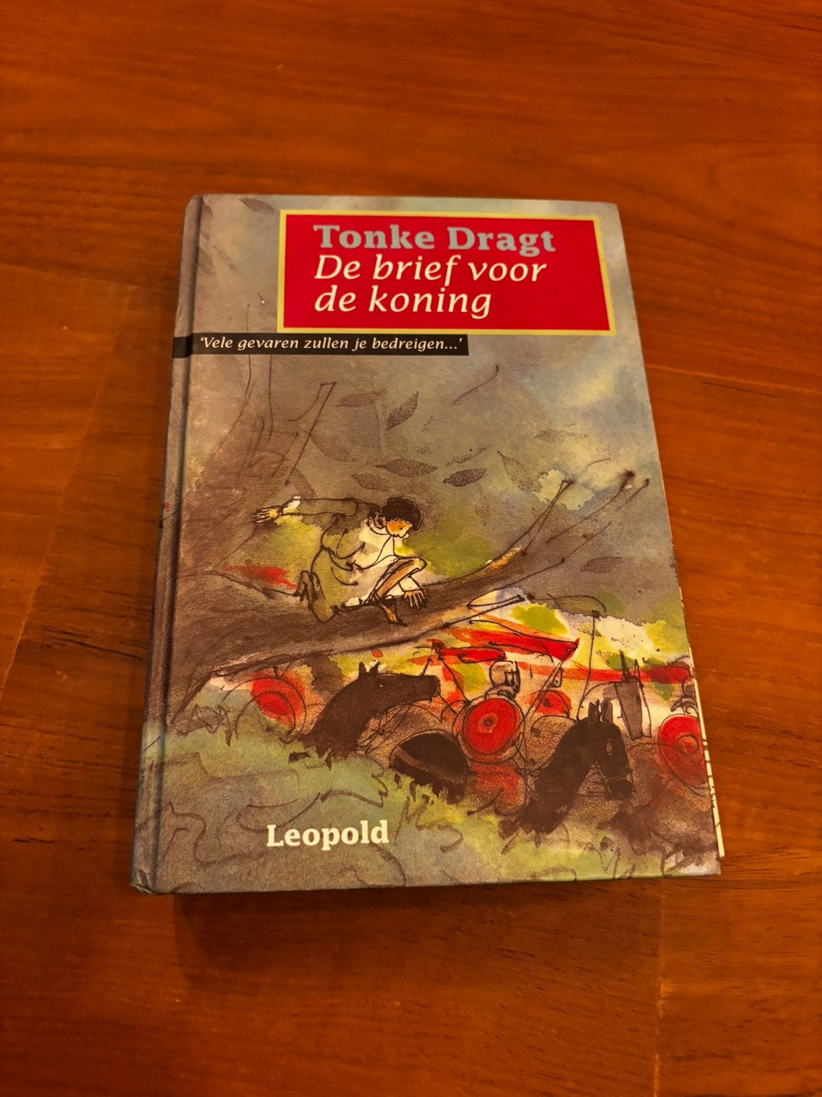 De beoef voor de koning - Tonke Dragt, Ophalen of Verzenden, Zo goed als nieuw
