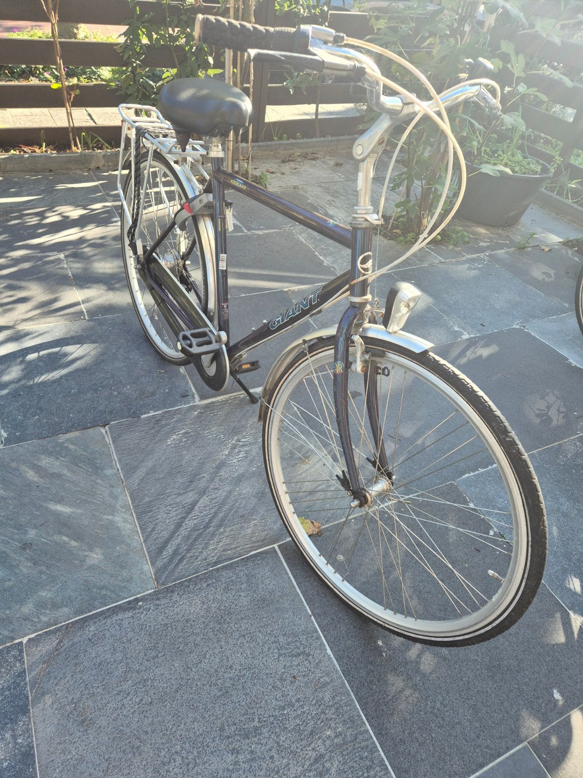 Giant Damesfiets - Comfortabel en Betrouwbaar, Fietsen en Brommers, Ophalen, Gebruikt, Terugtraprem, Giant