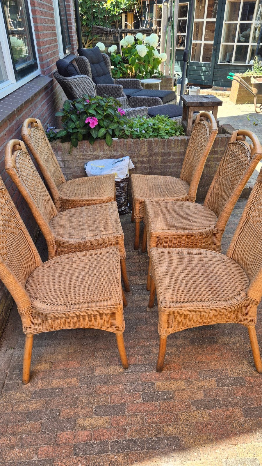 6 Rotan stoelen - perfect voor serre of terras, Ophalen, Gebruikt, Overige kleuren, Natuurlijk, Landelijk