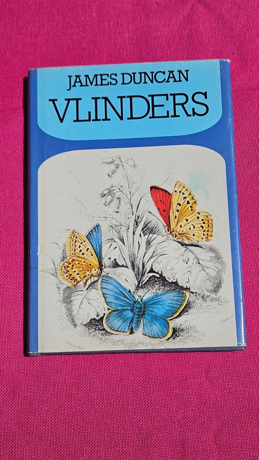 Vlinders, Ophalen of Verzenden