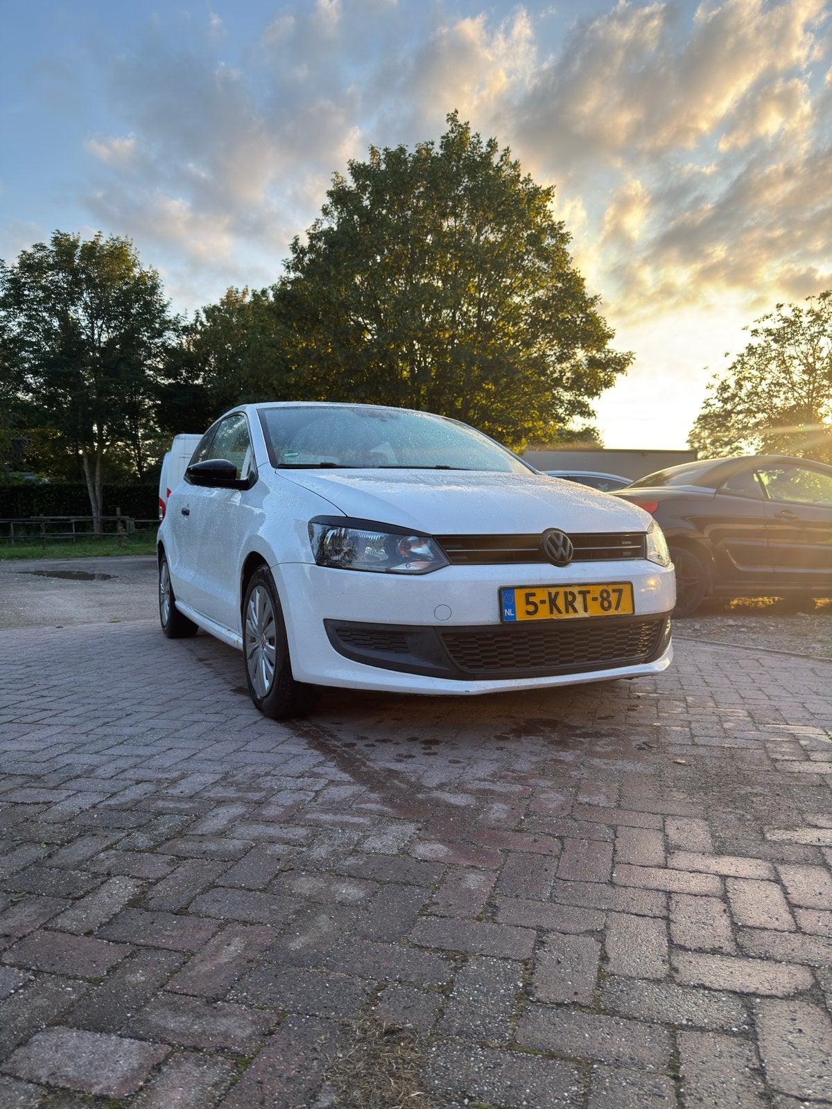 Volkswagen Polo 1.2 TDI 55KW BM 2010 Wit, Voorwielaandrijving, 74 pk, 1199 cc, 96 €/maand