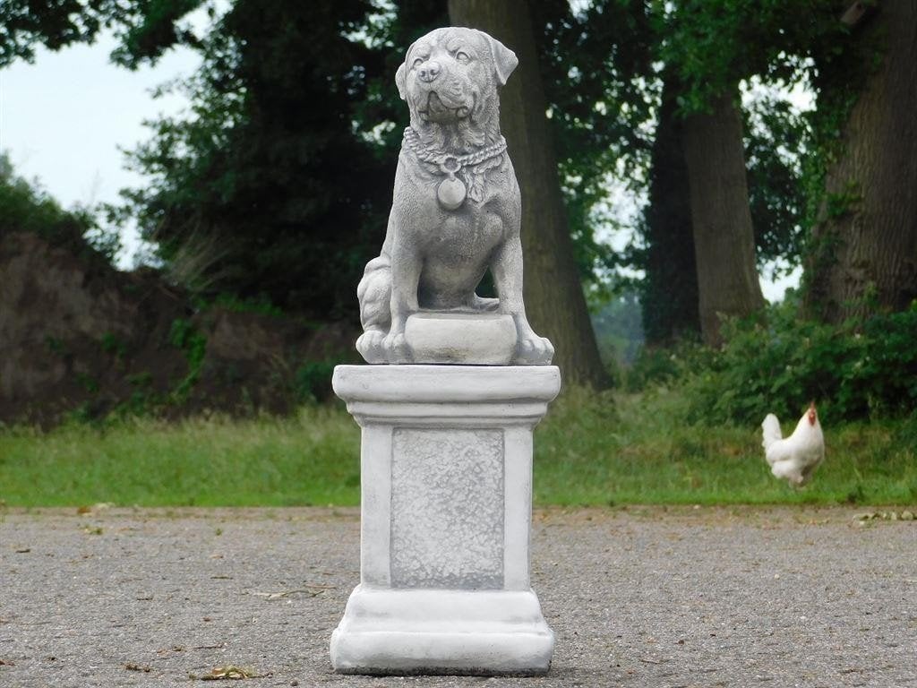 hond op sokkel, Ophalen of Verzenden, Atw, Atw, Nieuw