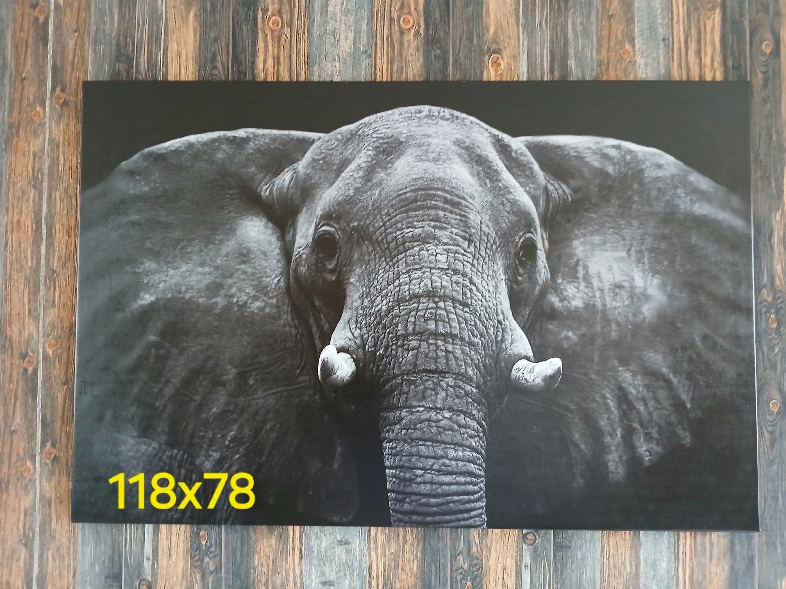 Prachtige olifant canvas schilderij 118x78 cm, Ophalen, Zo goed als nieuw, Schilderij, 100 tot 125 cm
