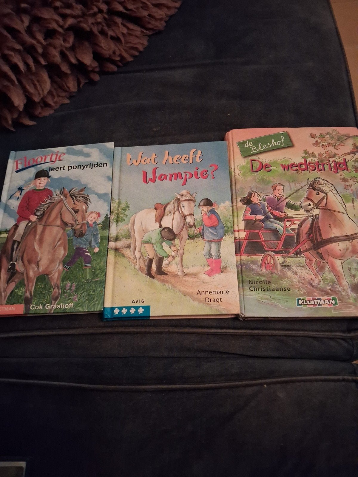 3 kinderboeken over paarden - Floortje, Wampie, Wedstrijd, Ophalen of Verzenden, Gelezen, Cok Grashoff, Annemarie Dragt, Nicolle Christiaanse