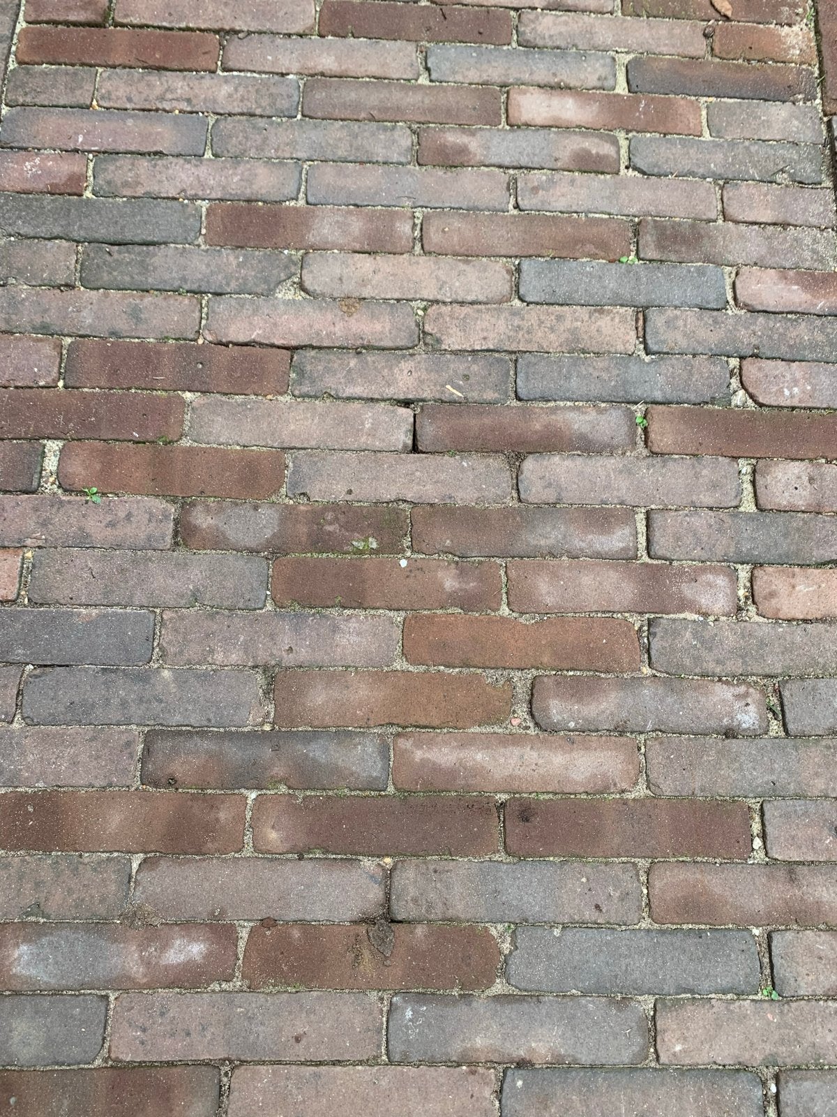 450 gebruikte bakstenen 4.5x20x8.5 cm, Ophalen of Verzenden, Gebruikt