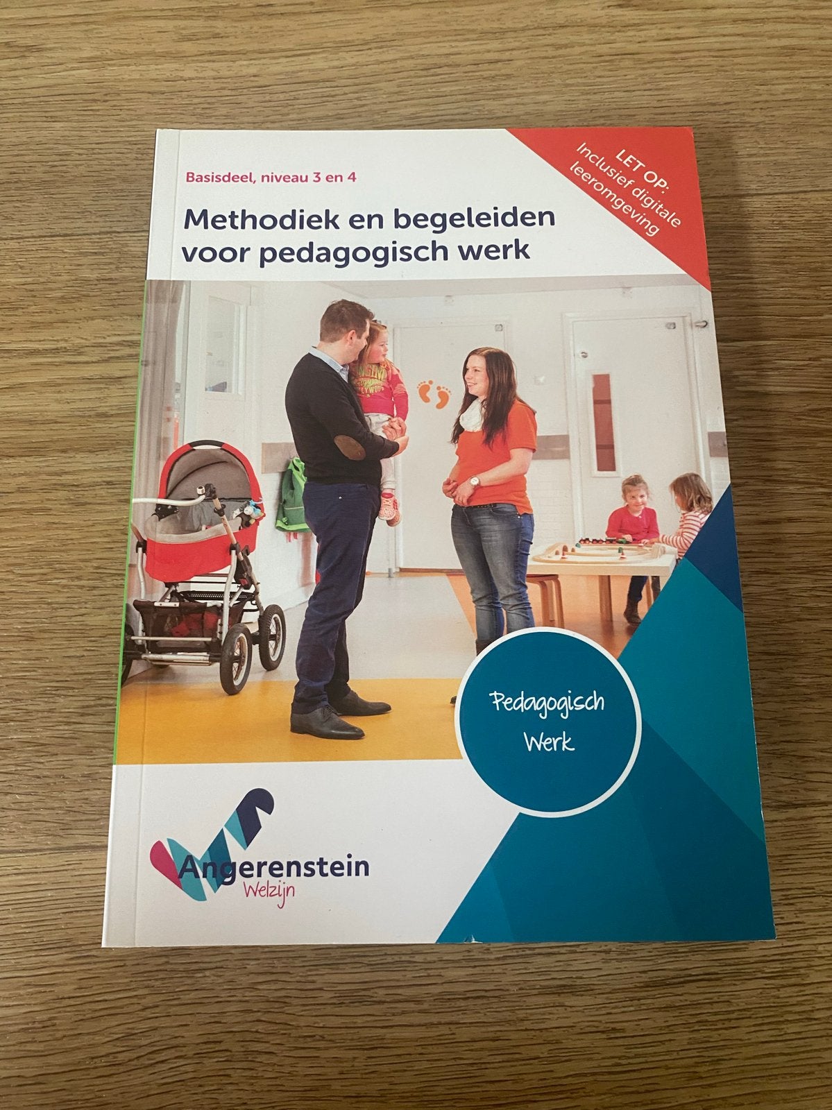 Methodiek en begeleiden voor pedagogisch werk, Boeken, Ophalen of Verzenden, Gamma, Zo goed als nieuw, MBO