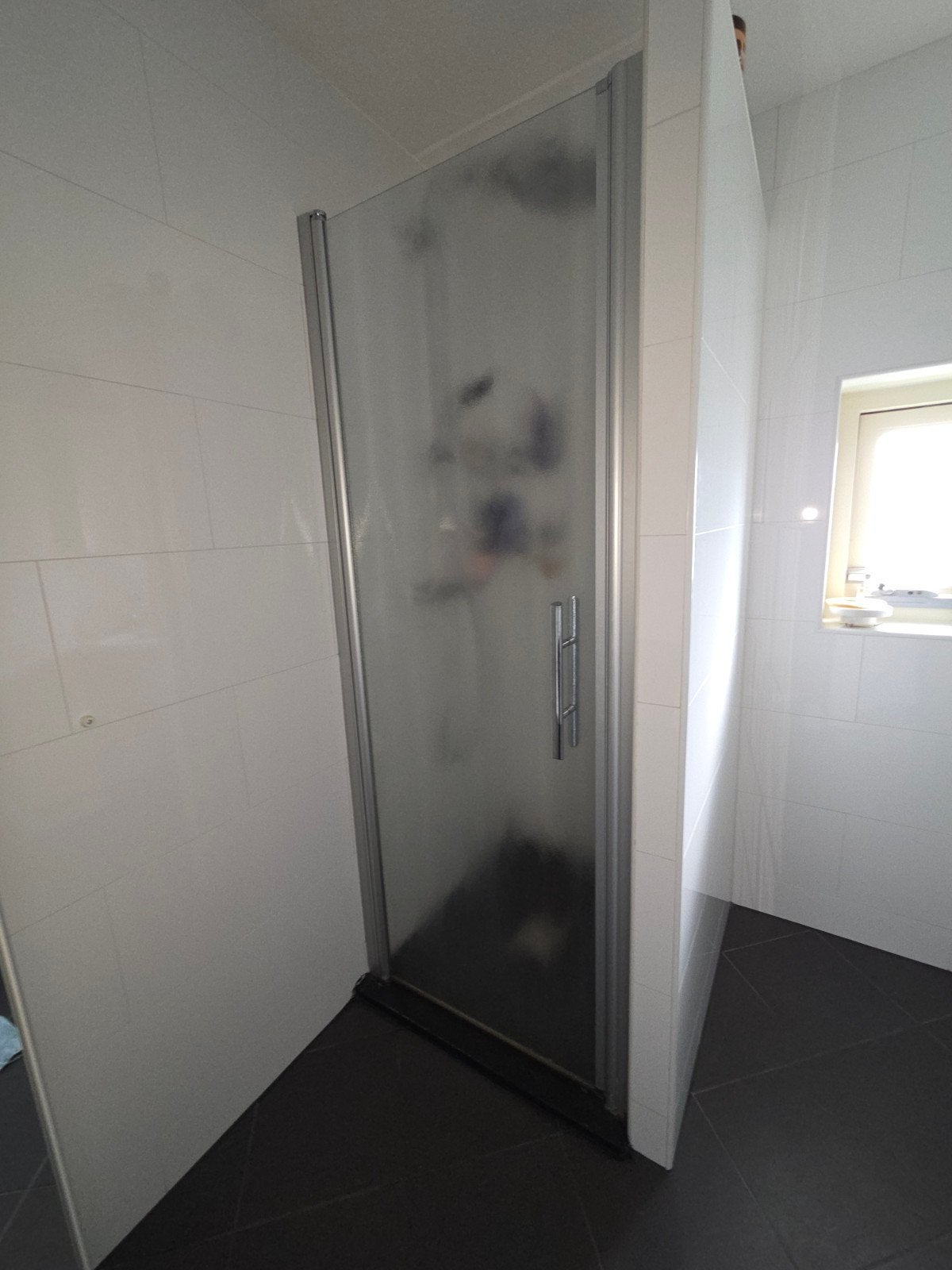 Gratis Douchedeur/nisdeur, Huis en Inrichting, Ophalen, Gebruikt
