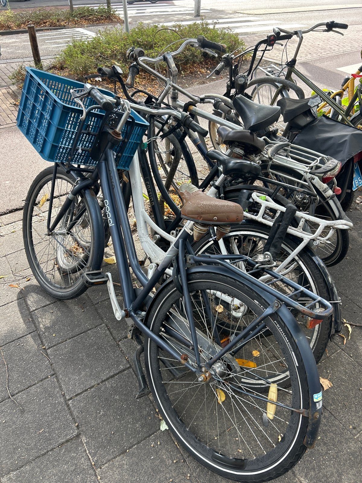 Te koop - Gebruikt fietsen, Fietsen en Brommers, Fietsen | Dames | Damesfietsen, Overige merken, Terugtraprem, Ophalen of Verzenden